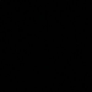 Meet your Posher, Benjamin